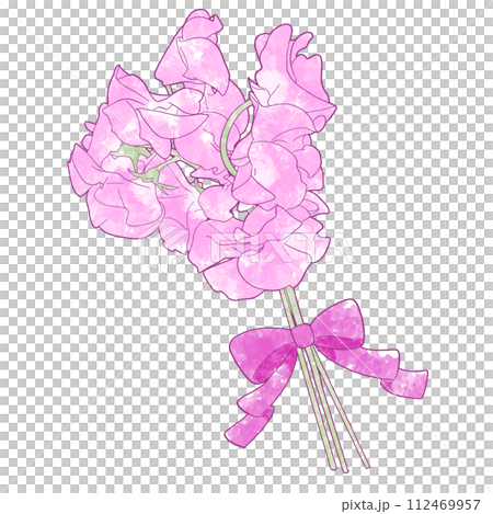 逼真的粉紅色甜豌豆花束水彩插圖 112469957