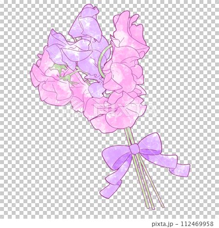 逼真的甜豌豆花束水彩插圖 逼真的甜豌豆花束水彩插圖 112469958