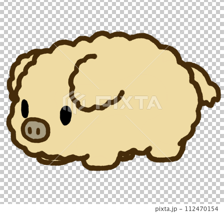 曼加利卡豬側躺著 112470154