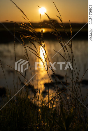 【庄内の風景】田んぼと夕陽のリフレクション 【庄内の風景】田んぼと夕陽のリフレクション 112470905
