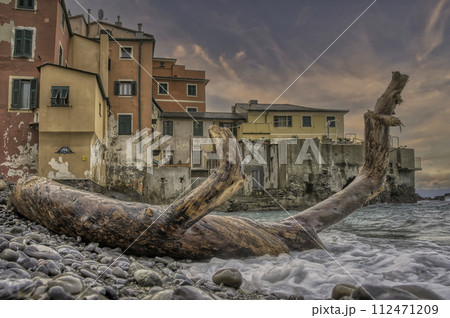 Boccadasse's Shoreline Driftwood Beacon Italy Boccadasse's Shoreline Driftwood Beacon Italy 112471209