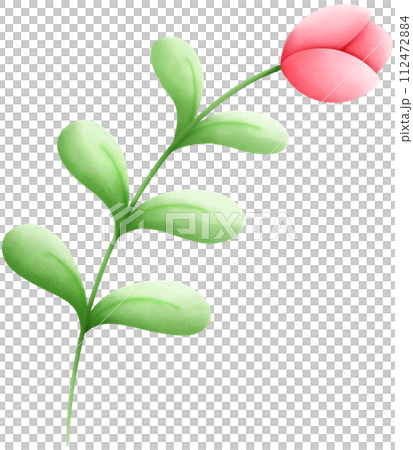 The concept of loving the world, the growth of trees and flowers. 112472884