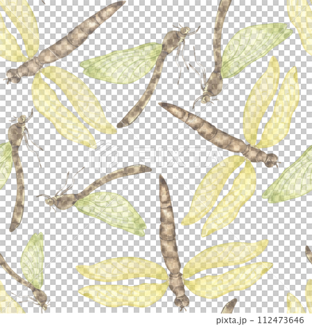 Dragonflies watercolor and shadows seamless pattern isolated on white. Flying insects illustration hand drawn. Colorful sketch bugs with transparent wings. Design for textile, tableware, wrapping Dragonflies watercolor and shadows seamless pattern isolated on white. Flying insects illustration hand drawn. Colorful sketch bugs with transparent wings. Design for textile, tableware, wrapping 112473646