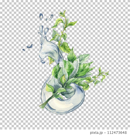 Bush of nettles in water splash. Watercolor illustration of the herbal plant Urticaria dioica. Water wave and green leaf, stinging plant hand drawn. Element for label, packaging cosmetic, apothecary 112473648