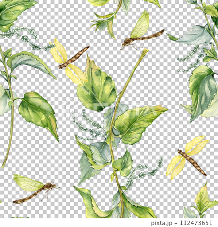 Nettle herbal plant with dragonfly seamless pattern isolated on white. Illustration of stinging plant Urticaria dioica hand drawn. Print of useful herb. Design for textile, package, wallpaper 112473651