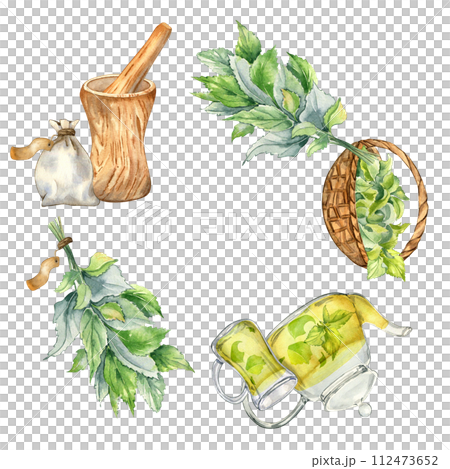 Circle frame with herb bunch, wooden mortar, basket and teapot watercolor illustrations isolated on white. Herbal plant Urticaria dioica. Stinging plant hand drawn. For label, packaging, banner 112473652