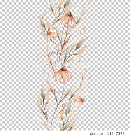 Watercolor seamless border botanical autumn illustration echinacea branches flowers and herbs. Autumn illustration. Hand painted drawing isolated on white background. Floral composition pastel color 112473784