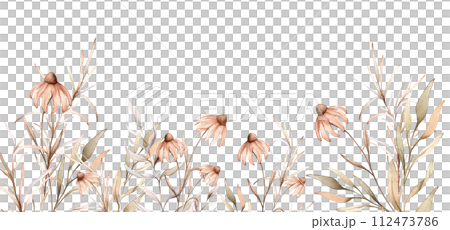 Watercolor border botanical autumn illustration echinacea branches flowers and herbs. Autumn banner illustration. Hand painted drawing isolated on white background. Floral composition pastel color Watercolor border botanical autumn illustration echinacea branches flowers and herbs. Autumn banner illustration. Hand painted drawing isolated on white background. Floral composition pastel color 112473786