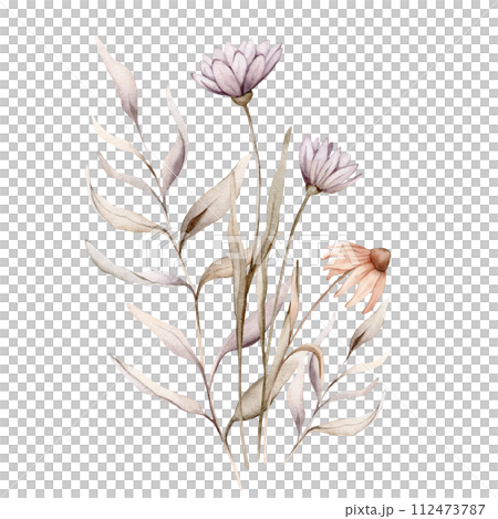 Watercolor bouquet botanical autumn illustration echinacea branches flowers and herbs. Autumn floral illustration. Hand painted drawing isolated on white background. Floral composition pastel color 112473787