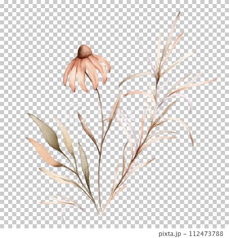 Watercolor bouquet botanical autumn illustration echinacea branches flowers and herbs. Autumn floral illustration. Hand painted drawing isolated on white background. Floral composition pastel color Watercolor bouquet botanical autumn illustration echinacea branches flowers and herbs. Autumn floral illustration. Hand painted drawing isolated on white background. Floral composition pastel color 112473788