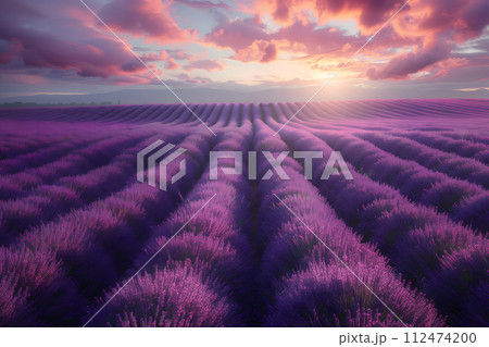 Vast Lavender Field Under Cloudy Sky Generative AI 112474200