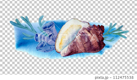 Watercolor underwater composition. Ocean shell, sea coral reef, algae on a watercolor background. The illustration is ideal for prints, home interior, design, cards. Tropical style. 112475538