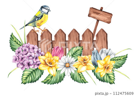 Watercolor spring birds on a fence with a sign decorated with hydrangea, daffodil and tulip 112475609