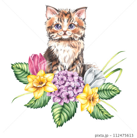 Watercolor spring cute kitten with hydrangea, daffodil and tulip 112475613