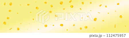 Russian ruble coins falling. Scattered gold RUB Russian ruble coins falling. Scattered gold RUB 112475957