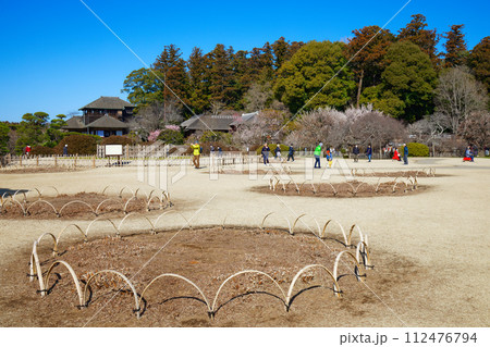 水戸の梅まつり　好文亭　水戸偕楽園 112476794