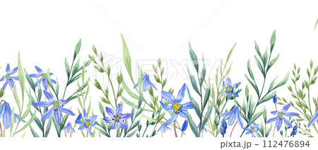 Scilla flowers and wild herbs. Spring meadow, garden plants. Watercolor horizontal seamless banner. Copy space for text. Illustration for the design of birthday, wedding postcards, invitations 112476894