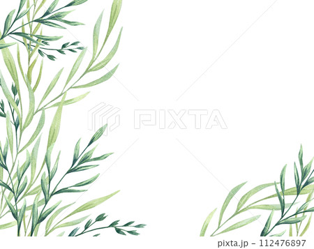 Green wild plants. Spikelet. Spring meadow herbs. Monochrome style. Horizontal frame with copy space for text. Watercolor floral illustration. Copy space for text. For greetings, invitations Green wild plants. Spikelet. Spring meadow herbs. Monochrome style. Horizontal frame with copy space for text. Watercolor floral illustration. Copy space for text. For greetings, invitations 112476897