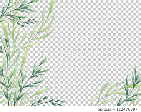 Green wild plants. Spikelet. Spring meadow herbs. Monochrome style. Horizontal frame with copy space for text. Watercolor floral illustration. Copy space for text. For greetings, invitations Green wild plants. Spikelet. Spring meadow herbs. Monochrome style. Horizontal frame with copy space for text. Watercolor floral illustration. Copy space for text. For greetings, invitations 112476897