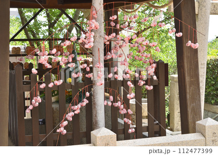 神戸北野天満神社の叶い鯉 神戸北野天満神社の叶い鯉 112477399