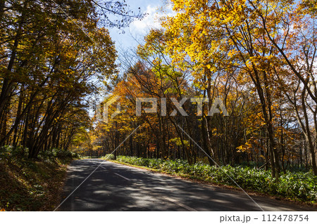 秋の長野　紅葉見頃の戸隠 112478754