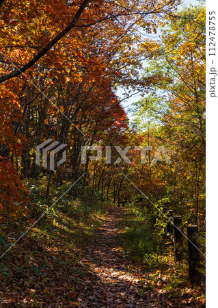 秋の長野　紅葉見頃の戸隠 112478755