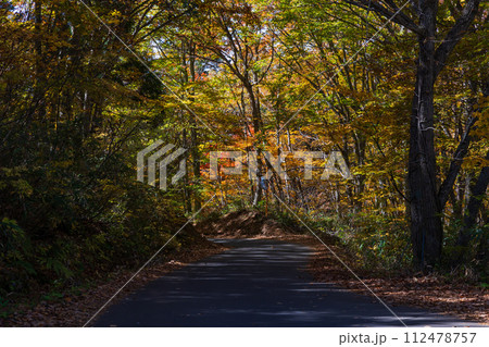 秋の長野　紅葉見頃の戸隠 112478757
