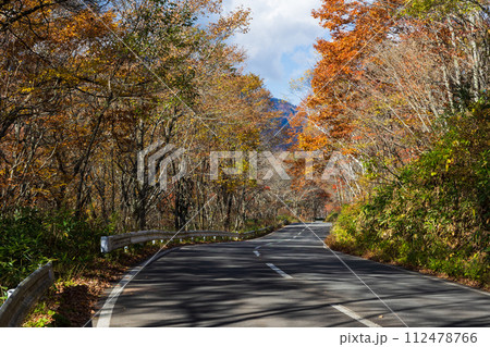 秋の長野 紅葉見頃の戸隠 秋の長野 紅葉見頃の戸隠 112478766