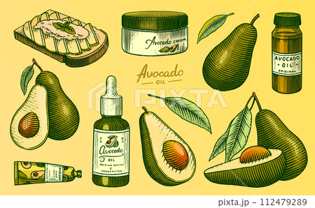 Tropical avocado. Set of evergreen fruit plant. Cosmetics for skin care. Organic oil in the bottle 112479289
