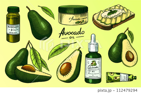 Tropical avocado. Set of evergreen fruit plant. Cosmetics for skin care. Organic oil in the bottle 112479294