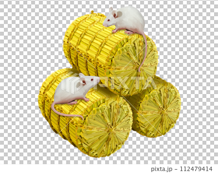 白老鼠和米袋 112479414
