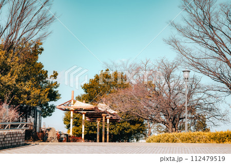 秋の公園にあるイチョウの木と鳥居 112479519