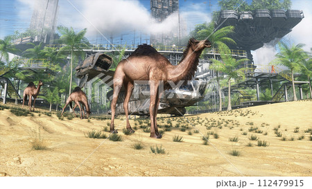 Camel walking in futuristic desert, sci fi city. Future architecture concept. 3d rendering. Camel walking in futuristic desert, sci fi city. Future architecture concept. 3d rendering. 112479915