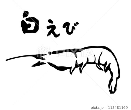 白えびのイラスト線画　筆書きの白えび 112481169