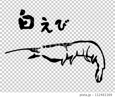 白蝦插畫線描畫筆畫白蝦 112481169