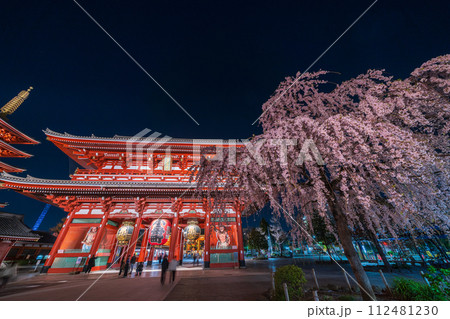 「東京都」浅草寺の宝蔵門と満開の枝垂れ桜・台東区 夜景 「東京都」浅草寺の宝蔵門と満開の枝垂れ桜・台東区 夜景 112481230