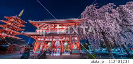 「東京都」浅草寺の宝蔵門と満開の枝垂れ桜・台東区　夜景 112481232