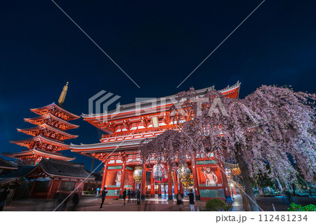 「東京都」浅草寺の宝蔵門と満開の枝垂れ桜・台東区　夜景 112481234