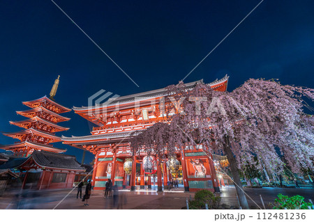 「東京都」浅草寺の宝蔵門と満開の枝垂れ桜・台東区 夜景 「東京都」浅草寺の宝蔵門と満開の枝垂れ桜・台東区 夜景 112481236