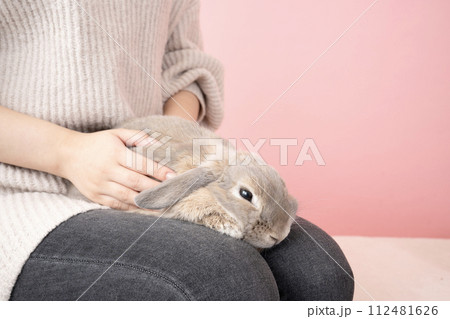 ピンクバックと膝にのったウサギのモフ 112481626