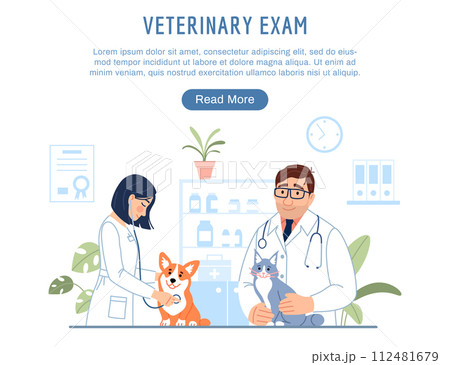 Veterinary exam landing page. Young veterinarians with dog and cat examining cute animals on pet hospital background. Flat line website template with button. Vet clinic homepage illustration. 112481679
