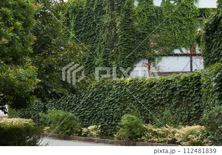 緑化住宅 112481839