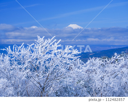 (静岡県)雪化粧した伊豆スカイライン滝知山園地から望む富士山 (静岡県)雪化粧した伊豆スカイライン滝知山園地から望む富士山 112482857