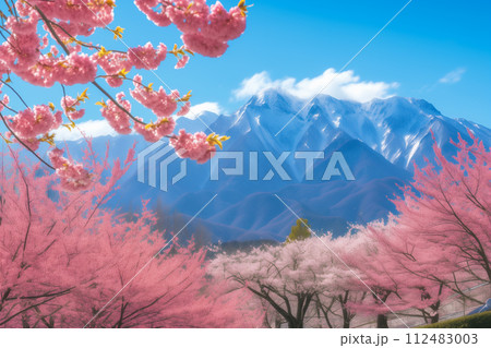 春の息吹と山々を背景にした桜 112483003