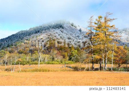初雪の尾瀬ヶ原 112483141