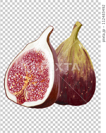 無花果(1 片和橫斷面) 無花果(1 片和橫斷面) 112483492