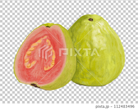 番石榴(1片,橫切面) 番石榴(1片,橫切面) 112483496