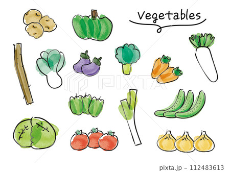 手描き水彩の可愛い野菜のセット_背景白 手描き水彩の可愛い野菜のセット_背景白 112483613