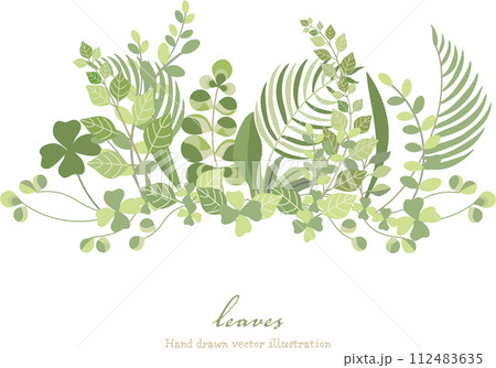 美しい緑の葉のボタニカルフレーム 112483635