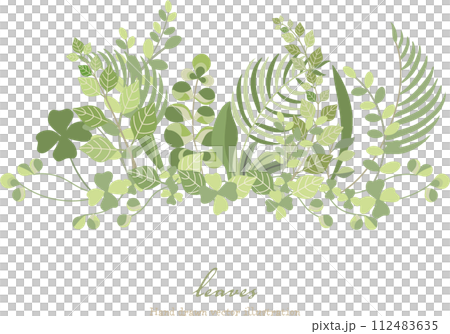 Beautiful green leaf botanical frame 112483635